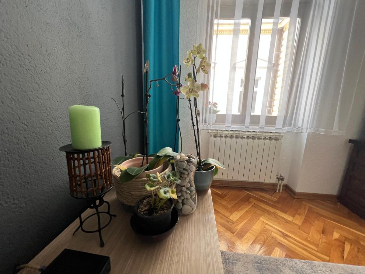 Djana Apartment Сараево Экстерьер фото
